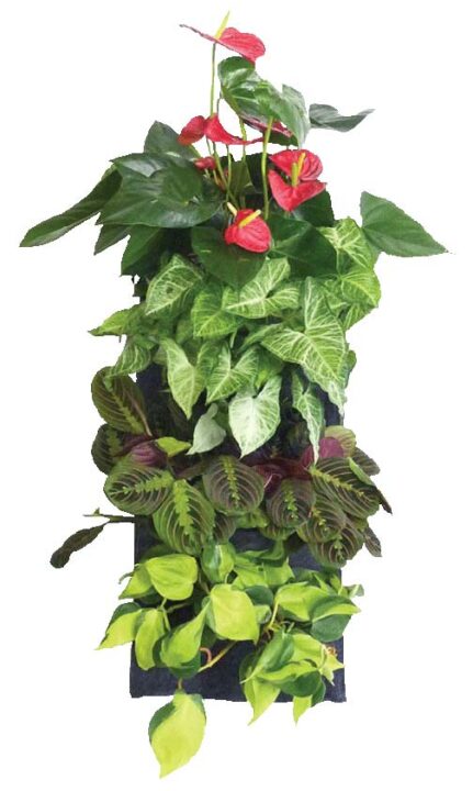 EcoFelt Grow Bags For Wall and Hanging Gardens - Vertical
