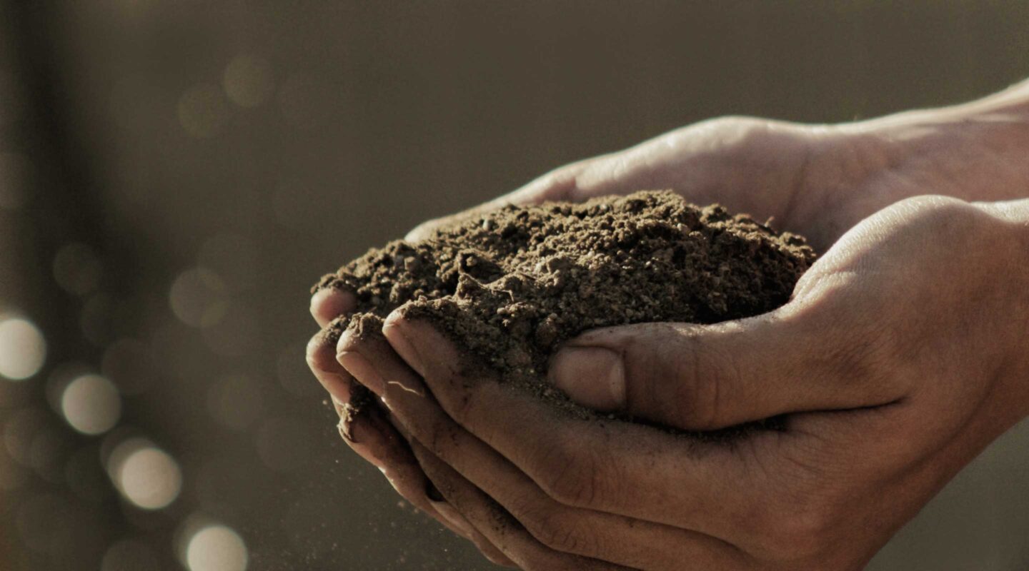 Soil Amendments & Fertilisers