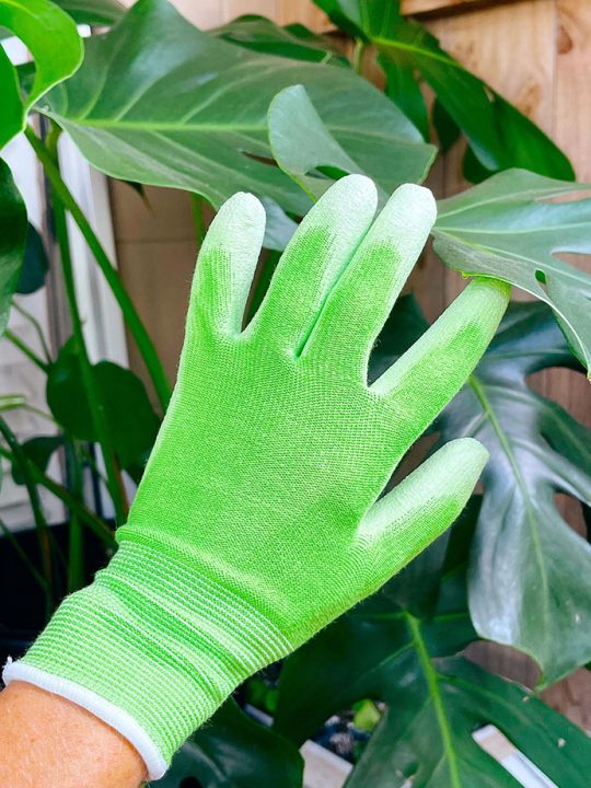 Bamboo Fibre "Green" Gloves